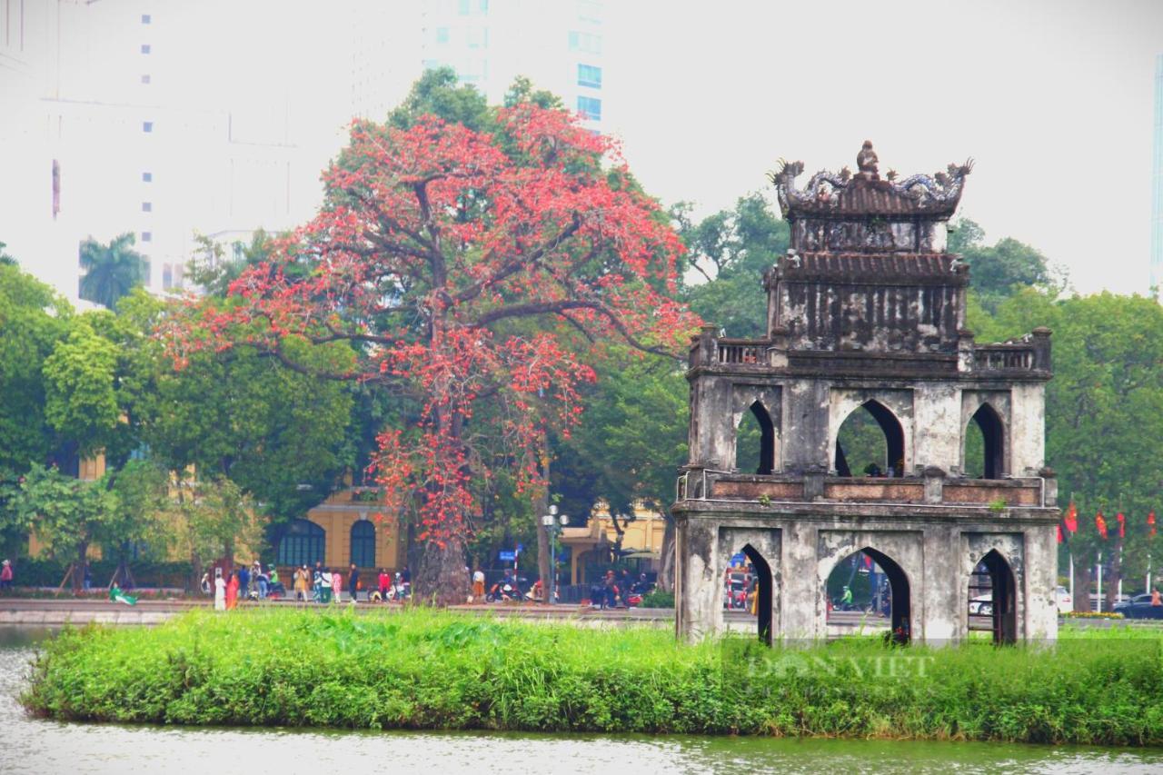 Bong Ha Noi Hostel Hanói Exterior foto